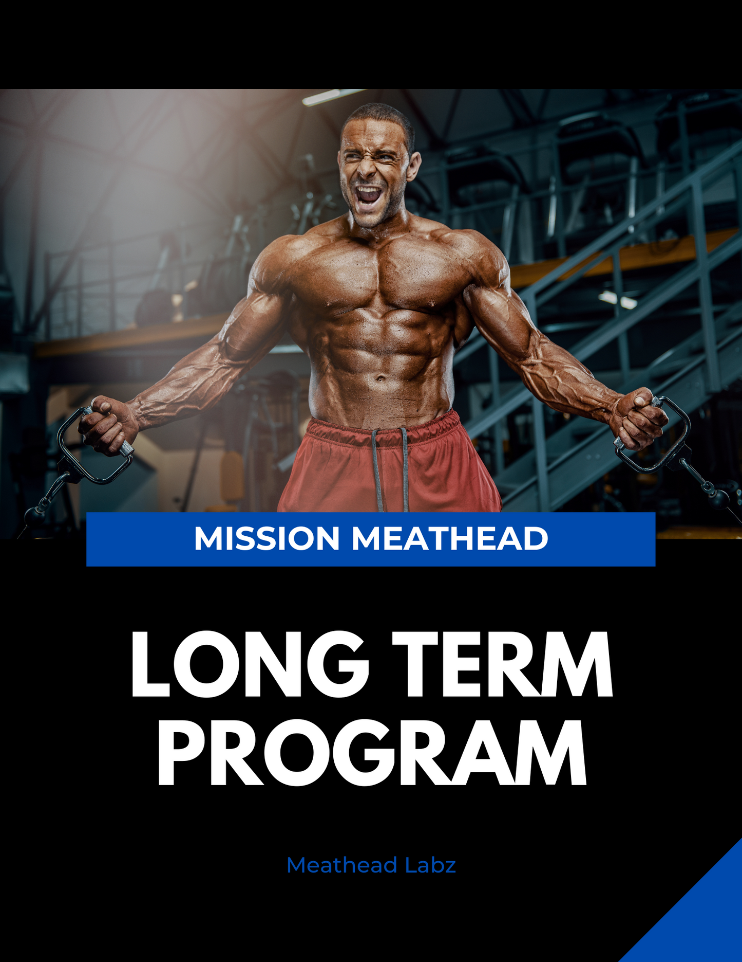 Mission Meathead
